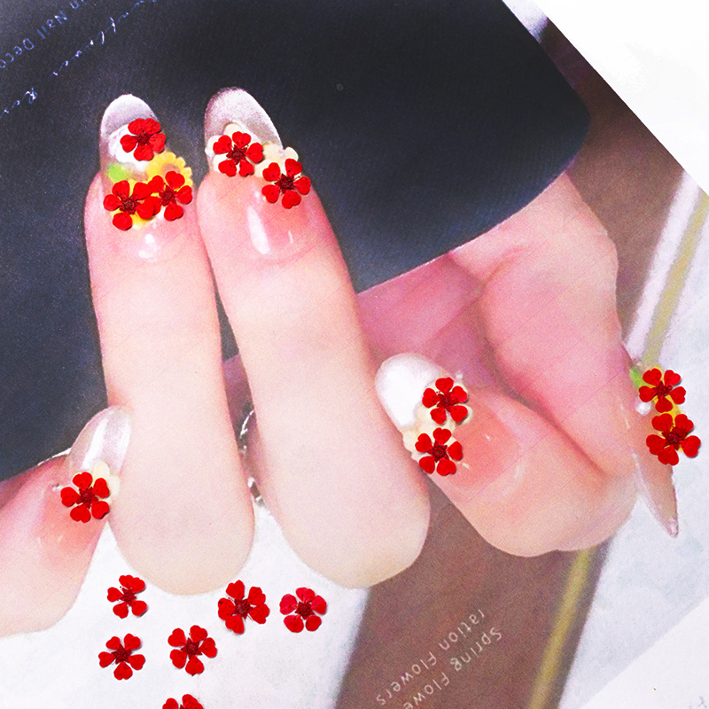 96Pcs Mini 1.5cm Natural Press - Resin Art Baby ulasan dan harga